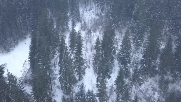 真冬の雪山の頂上からの空中像 — ストック動画