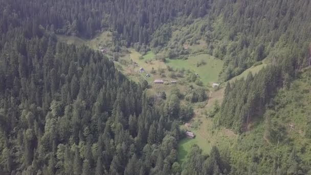 ウクライナの中でカルパティアの村Klivorivniaへの空中夏の景色 ウクライナのHutsulshchyna国立公園の典型的な風景 — ストック動画