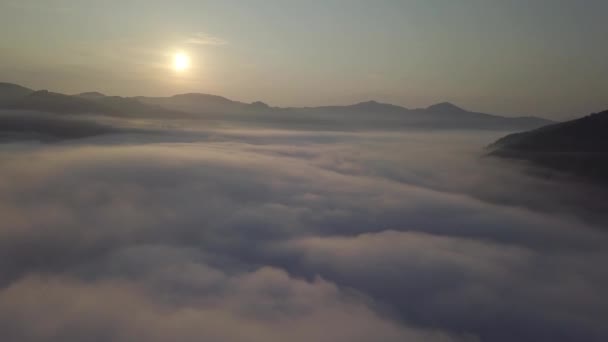 Aerial Drone View Foggy Sunrise Clouds Hills Mountains Morning Carpathian — Stock Video