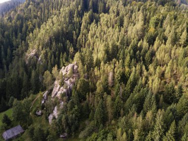 Taş Ternoshorska Lada 'yı güzel Karpatlar' ın ortasında sallıyor.