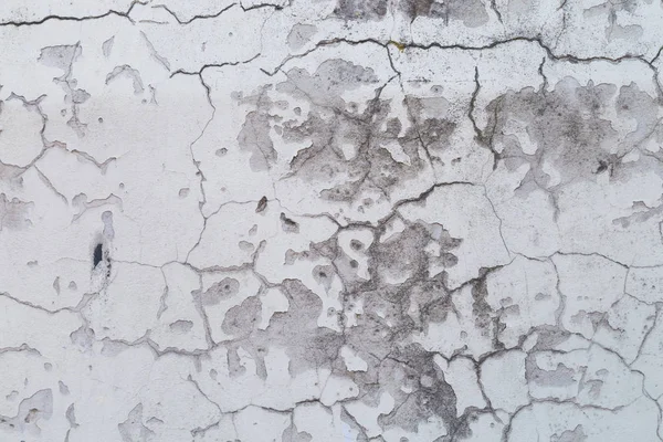 White cement wall with Mold texture background