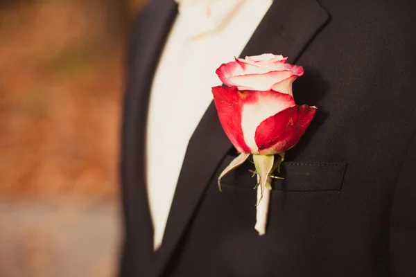 Boutonnière sur le revers du marié — Photo