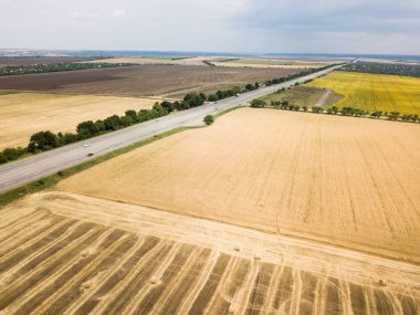 Ayçiçeği ve buğday alanları ile yol boyunca dron hava en iyi görünüme