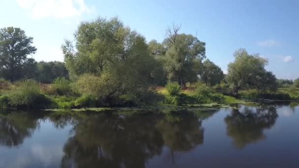 Légi nyári kilátás Desna folyó és az erdő — Stock videók