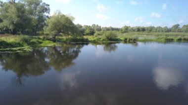 Desna nehri ve ormanının havadan görüntüsü
