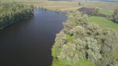 Desna nehri ve ormanının havadan görüntüsü