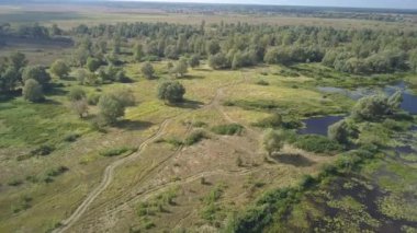 Desna nehri ve ormanının havadan görüntüsü