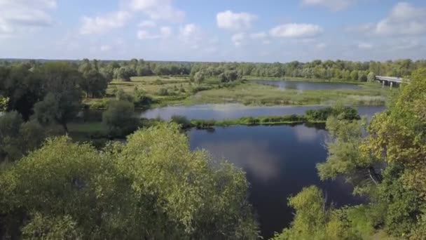 Auto közúti híd felett Desna folyó Csernyik régióban, Ukrajna — Stock videók