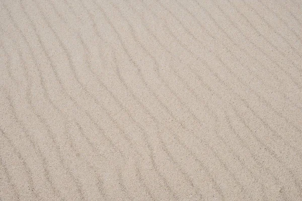 Small Sand Beach Background Blew Wind — Stock Photo, Image