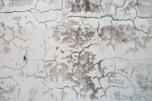 Gray cement wall with cracks and mold texture background