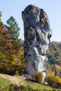 Herkül veya Maczuga Herkulesa, Pieskowa Skala adlı kireç taşı oluşumu güzel sonbahar renklerinde, Krakow-Czestochowa Upland, Polonya
