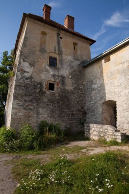 Svirzh, Ukrayna - 23 Temmuz 2009: Ünlü Ukrayna manzarası. Ortaçağ şatosu Svirzh, Lviv bölgesi, Ukrayna