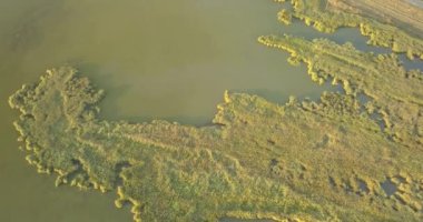 Karadeniz kıyısındaki Tuzly Estuary Ulusal Doğa Parkı, Ukrayna