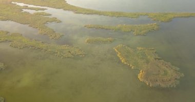 Karadeniz kıyısındaki Tuzly Estuary Ulusal Doğa Parkı, Ukrayna
