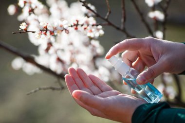 El antibakteriyel antiseptik jel, çiçek açan ağaçla birlikte doğa parkı arka planında kullanılıyor. Coronavirus Hastalığı (Covid-19) grip virüsü salgını sırasında önleme ve sağlık koruma