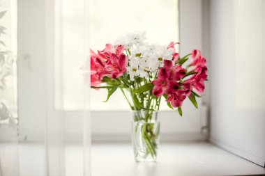 Güzel kasımpatı ve Alstroemeria çiçekleri 