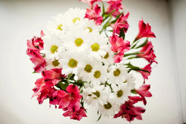 Hermosas flores de crisantemo y Alstroemeria — Foto de Stock
