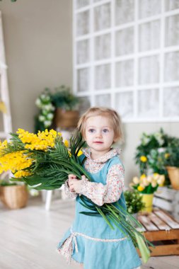  Büyük bir buket sarı mimoza ile iki yaşında bir kız.