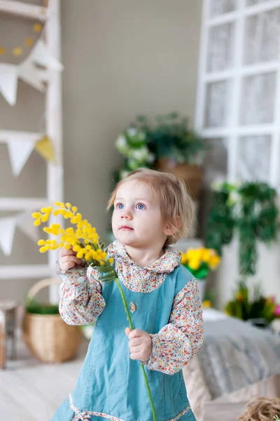 Menina Dois Anos Com Mimosa Amarela — Fotografia de Stock
