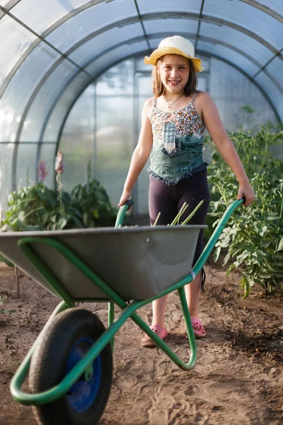 Adolescente Estufa Cuidando Plantas Verão — Fotografia de Stock