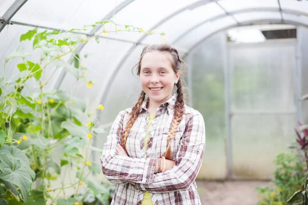 Gadis Remaja Yang Bekerja Rumah Kaca Dengan Sayuran — Stok Foto