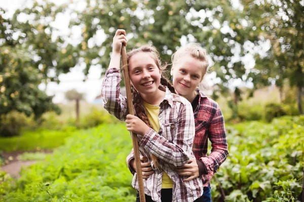 Tonårssystrar Som Arbetar Bondgård Med Grönsaker — Stockfoto