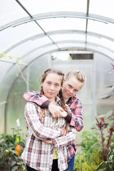 Remaja Kembar Rumah Kaca Dengan Sayuran — Stok Foto