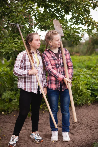 Підліткові Сестри Близнюки Працюють Фермі Овочами — стокове фото