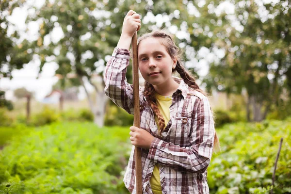 Adolescente Trabalhando Fazenda Com Legumes — Fotografia de Stock