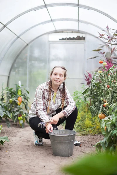 Дівчина Підліток Працює Теплиці Овочами — стокове фото