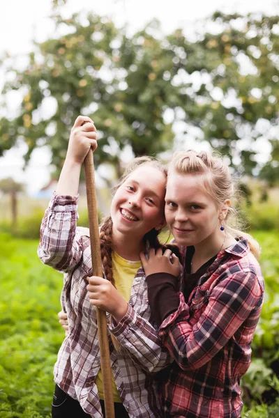 Adolescente Irmãs Gêmeas Trabalhando Fazenda Com Legumes — Fotografia de Stock