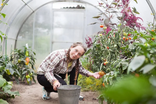 Adolescente Che Lavora Serra Con Verdure — Foto Stock