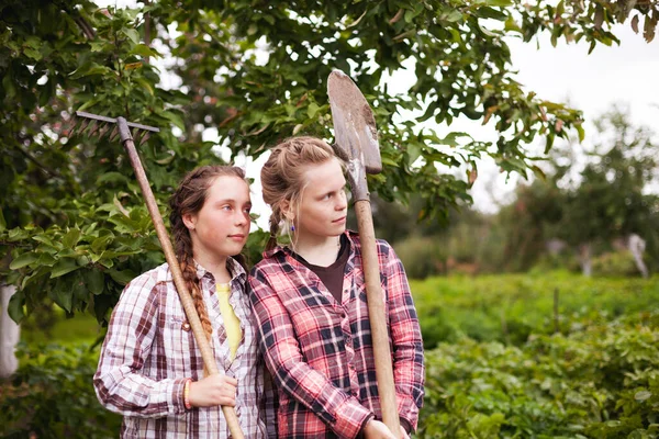 Підліткові Сестри Близнюки Працюють Фермі Овочами — стокове фото