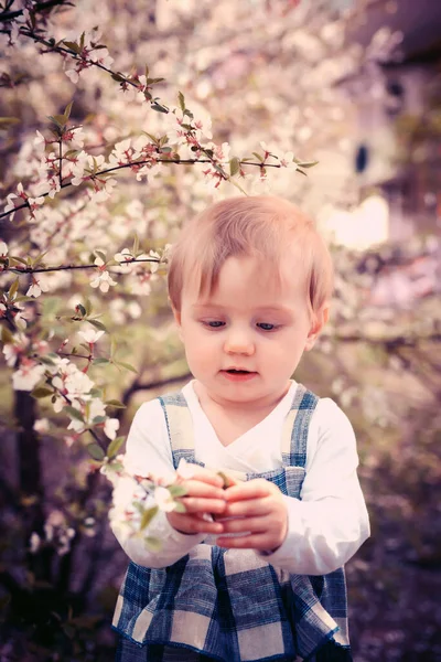 Retrato Bebê Bonito Fundo Árvores Primavera Florescendo — Fotografia de Stock