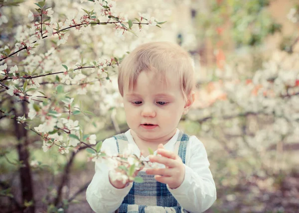 Retrato Bebê Bonito Fundo Árvores Primavera Florescendo — Fotografia de Stock