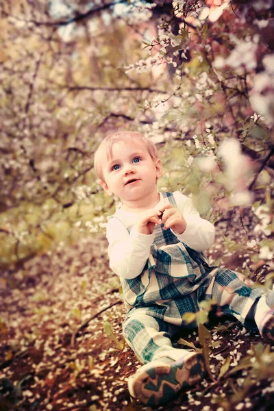 Portrait Cute Baby Background Blooming Spring Trees — Stock Photo, Image