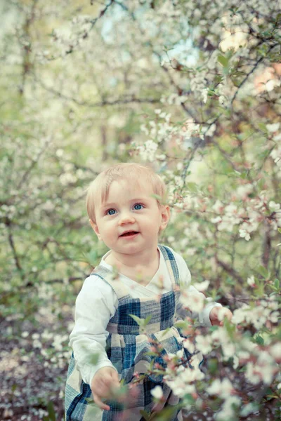 Portret Van Schattige Baby Achtergrond Van Bloeiende Lentebomen — Stockfoto