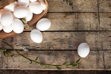  Beyaz tavuk yumurtaları ve söğüt dalları.