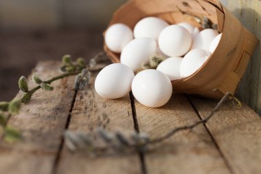 Bahar, beyaz tavuk yumurtaları ve söğüt dallarıyla dolu..