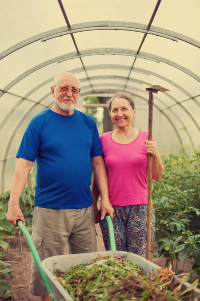 Two Elderly People Greenhouse Garden Accessories — Stock Photo, Image