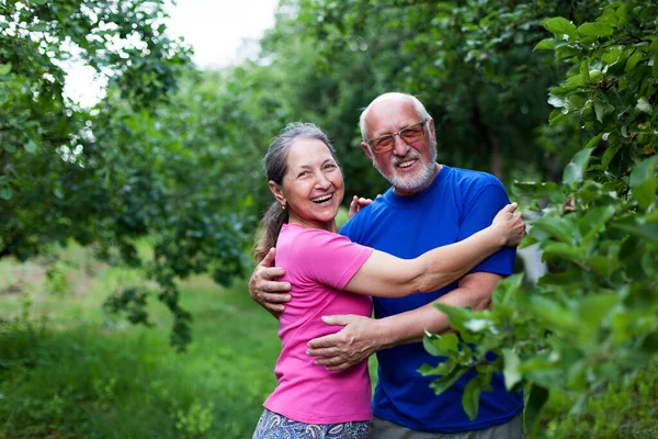 Portrait Cute Older Men Women Summer Apple Garden — Stock Photo, Image