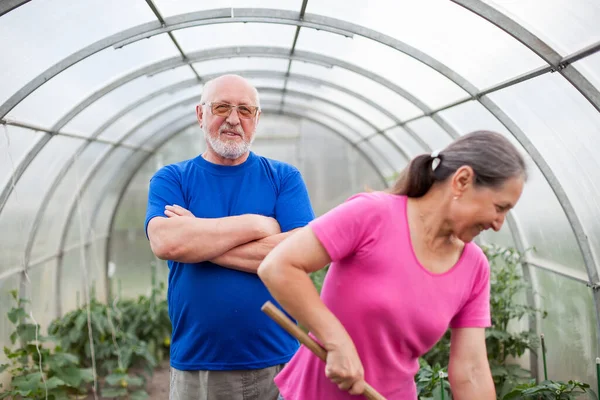 Elderly Man Woman Working Vegetable Garden — Stock Photo, Image