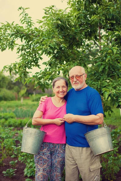 Portrait Mature Men Women Garden Works — Stock Photo, Image