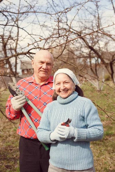 Uomo Anziano Con Donna Nel Giardino Del Villaggio Potatura Rami — Foto Stock