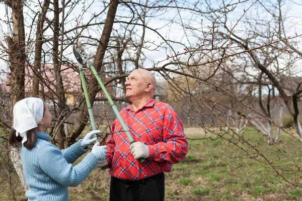 Elderly Couple Village Pruners — Stock Photo, Image