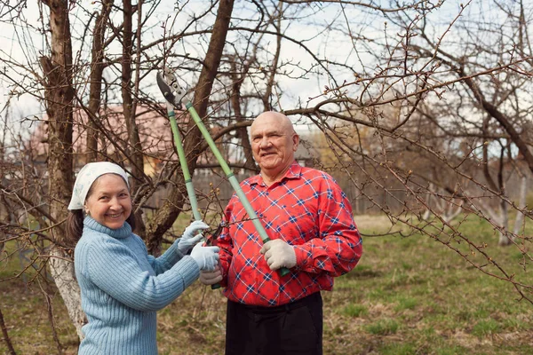 Homem Sênior Com Mulher Aldeia Jardim Poda Galhos Árvores — Fotografia de Stock