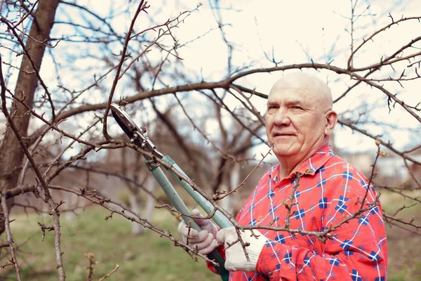 村の庭の男農家は木の枝を切り — ストック写真