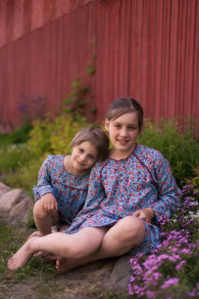 夏天的日子里 乡下有两个穿蓝色衣服的小妹妹 — 图库照片