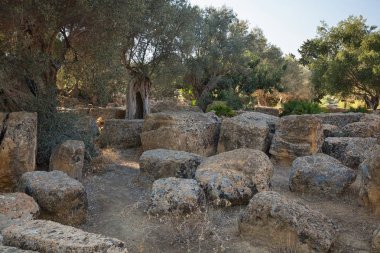  Bir sembol tapınaklar, Agrigento, Sicilya Vadisi olan Harabeleri.