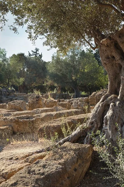 Ruinen, die ein Symbol Tal der Tempel sind, agrigento, Sizilien. — Stockfoto